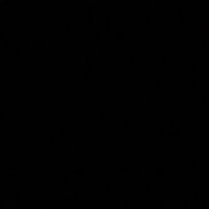 Meet your Posher, Daniela